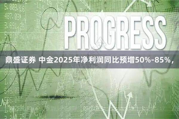 鼎盛证券 中金2025年净利润同比预增50%-85%，